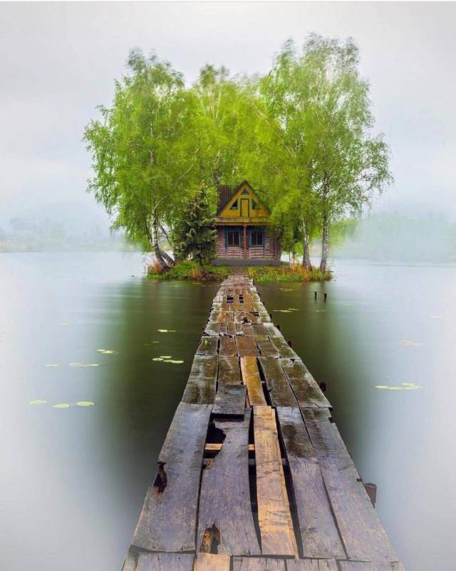 Remote lake house surrounded by poplar trees.