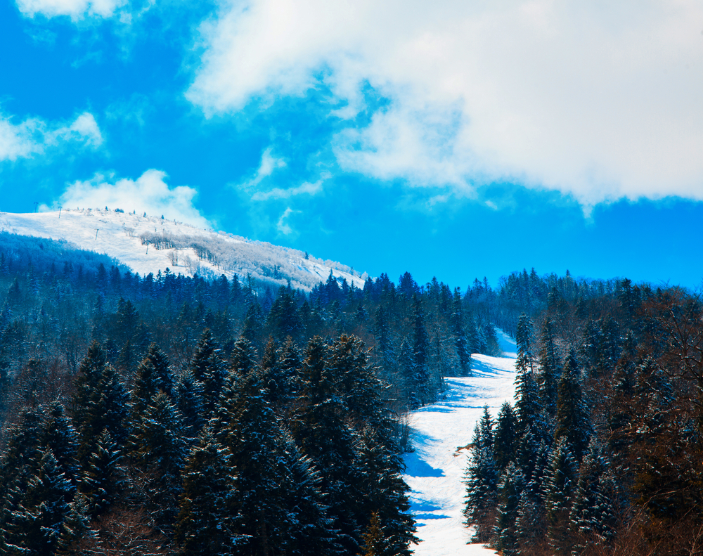 Bosnia Nature Guide: Bjelašnica