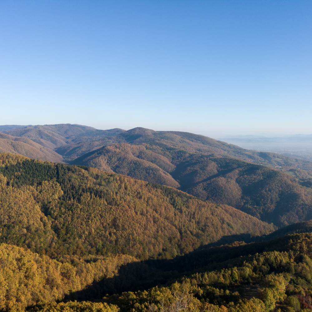 Bosnia Nature Guide: Kozara National Park