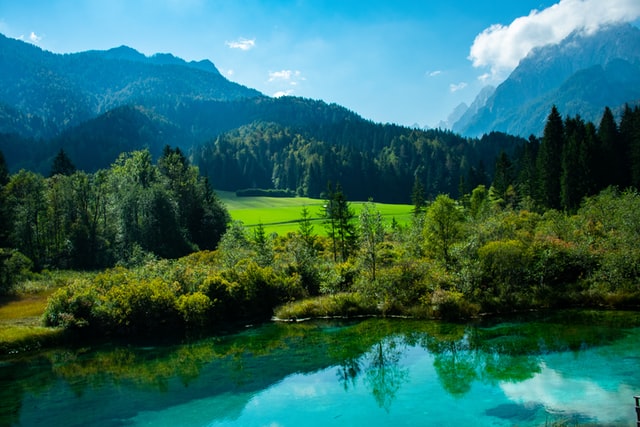 Lake Zelenci