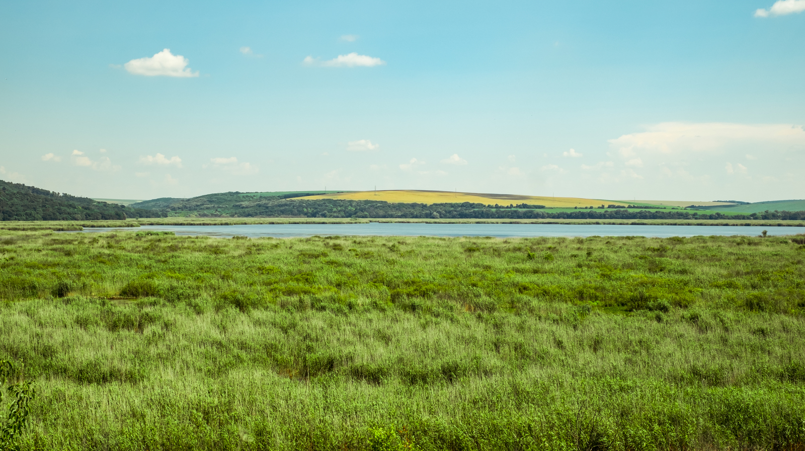 Srebarna Nature Reserve