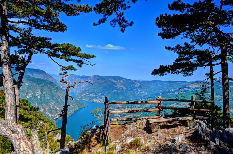 Serbian Nature: Tara National Park 