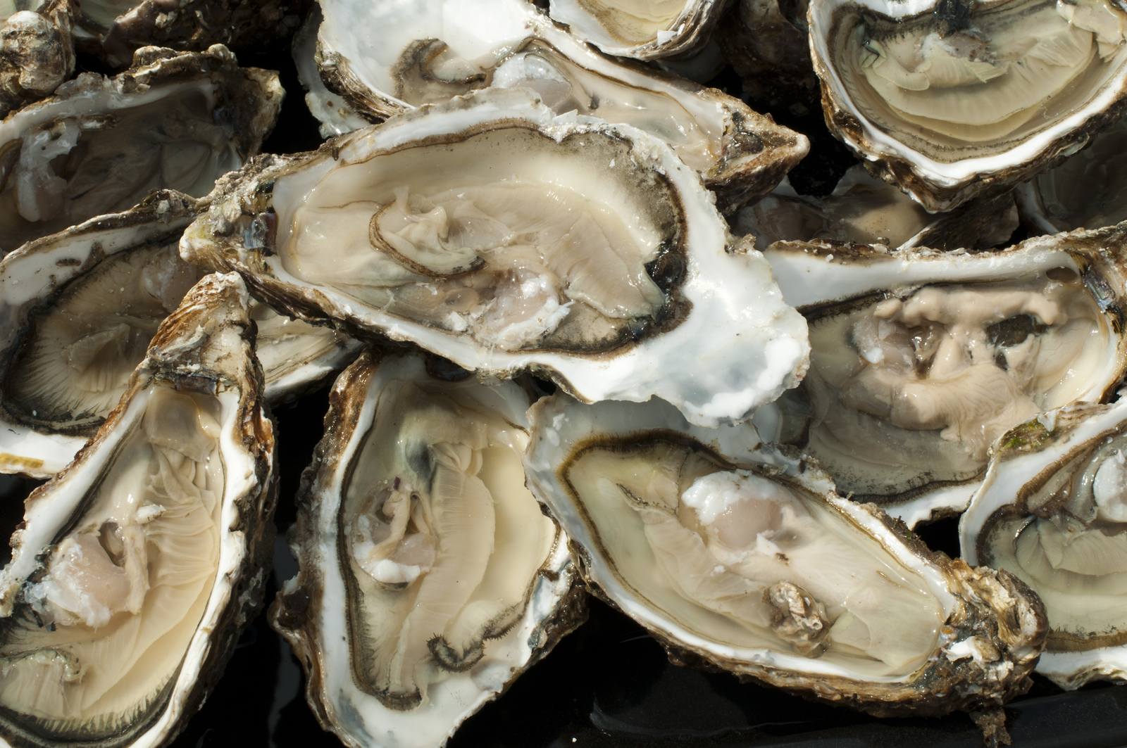 Traditional Croatian Food: Oysters
