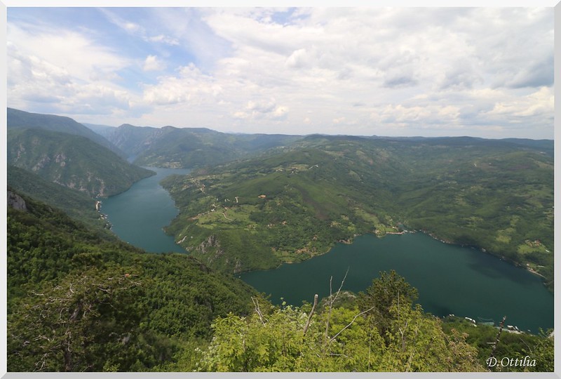 Tara National Park view