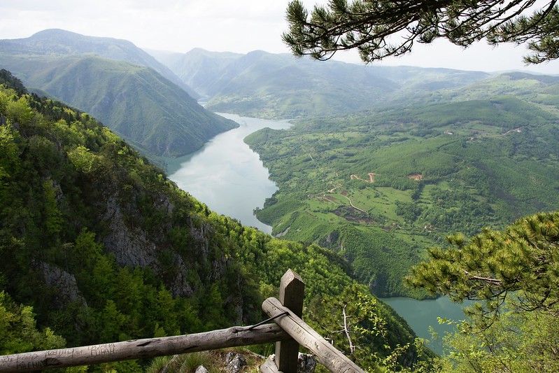 Tara National Park: Banjska Stena Viewpoint 